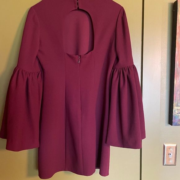 Nasty Gal Oxblood Bell Sleeve Mini Dress - Picture 6 of 9